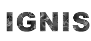 株式会社ＩＧＮＩＳのロゴ